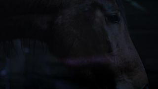 Solsikke Lausten nackt - Som Folger Solen (2013)