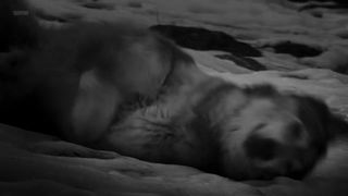 Sophie Faulkenberry sexy - Alex Strangelove (2018)