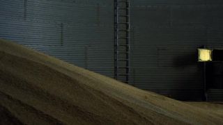 Heather Graham, Maika Monroe Sexy - At Any Price (2012)