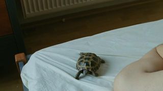 Vica Kerekes Nude - Nestyda (2008)