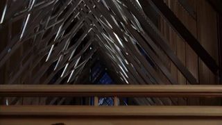 Anna Camp Underwear Sex Scene TV show 'True Blood'