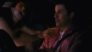 Ali Cobrin nude, Topless, Car in 'American Reunion'