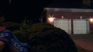 Ali Cobrin nude, Topless, Car in 'American Reunion'