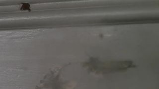 Daphne Zuniga - Last Rites (1988)