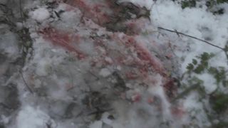 Pollyanna McIntosh nude, Lauryn Canny nude - Darlin (2019)