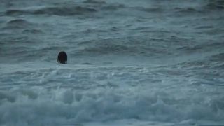 Eva Green Nude - Womb (2011)