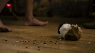 Vera Bommer nude - Seitentriebe s02e02-04 (2019)