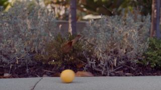 Andrea Flowers Naked - Oops Nudity Video