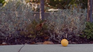 Andrea Flowers Naked - Oops Nudity Video