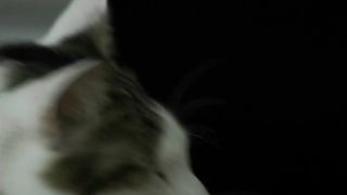 Fanny Migneault-Lecavalier - Intenselefun (2016) Hot actress