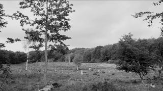 Natalie Dinesen naked - Nokken (2015)