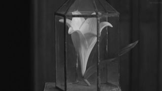 Mathilde Bundschuh - Das Goldene Zeitalter (2015) celebs nude scene