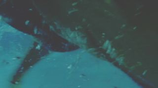 Caitlin O'Grady naked - Shen (2016)