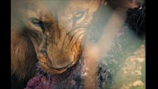 Jackie Moore - Grief (2017) Naked sexy video