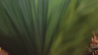 Barbara Evans - Dois Irmaos s01e03 (2017) Naked hot scene