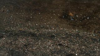 Blake Lively - The Rhythm Section (2020) Censorship naked video