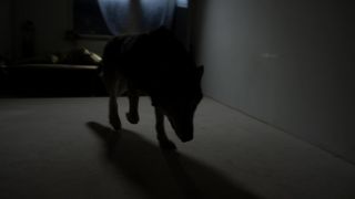 Lilith Stangenberg - Wild (2016) celebrity hot movie scene