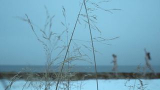 Ingvild Holthe Bygdnes, Guri Johnson nude - Monster (2017) (Season 1, Episode 5)