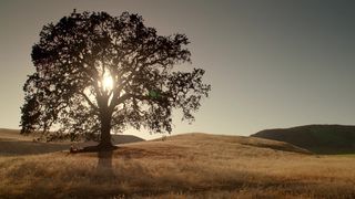 Lauren Avery, Dasha Nekrassova Naked actresses in a The Lotus Gun Nude(2015)