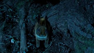 Dani Thompson - Cute Little Buggers (2017) Naked movie video