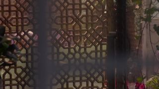 Melissa George, Sophie Lowe nude - The Butterfly Tree (2017)