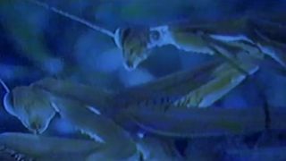 Aina Clotet nude - Mola ser malo (2005)