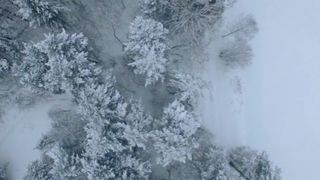 Anya Bay, Laura Aleman, Cerris Morgan-Moyer naked - Snowbound (2017)