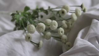 Anna Elise Martesen nude, Hanna Bjorndal naked - Naken (2016) Explicit Nudity (FF) Scene