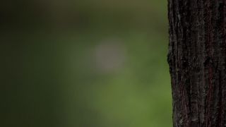 Valerie Scott-Keys, Chloe Levine - The Ranger (2018) Hot film scene