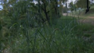 Julie Venturelli, Luna Miti - Le vent dans vos cheveux (2017) Hot movie video