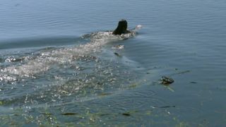 Nicole da Silva - Doctor Doctor s01e01-02 (2016) Nude movie scene