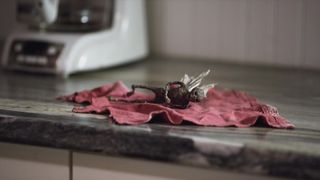 Alana Elmer - Latched (2017) Naked movie scene