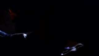 Jill Connick - Malady (2015) Hot movie video