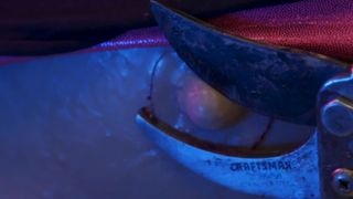 Lizzie Havoc, Sarah Michelle nude - Parts Unknown (2018)