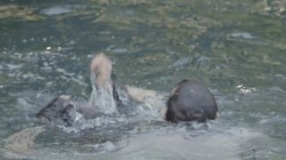 Sally Paton - Lower Plenty Garden Views (2016) Sexy movie scene