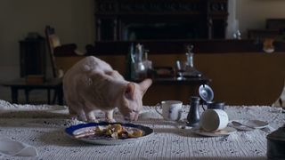 Florence Pugh nude - Lady Macbeth (2016)