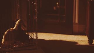 Asta Paredes, Catherine Corcoran, and other - Return to Return to Nuke 'Em High Aka Vol. 2 (2017) grou actresses from boobs scene