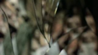 Emilie Dequenne - La ravisseuse (2005) celebrity booby hot scene