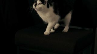 Honeysuckle Weeks, Brittania Nicol, and other - The Wicker Tree (2011) actress booby video