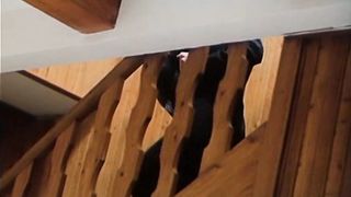 Ivana Chylkova, Lucie Bila, and other - Ta naee pisnicka ceska II (1990) actress nude scene