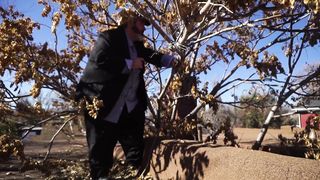 Julia Rose Morgan - Hitman Pervert (2016) celeb booby video