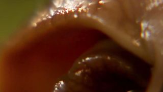 Victoria Diamond, Sylvie Moreau - Cochemare (2013) celeb naked boobs