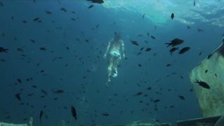 Julie Duval nude - La Mer est ma mere (2016) Underawater nude scene