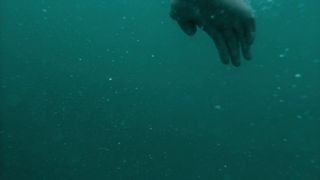 Ragga Ragnars - Vikings s06e15 (2020) celebs booby video