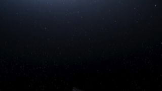 Bracken Burns, Hannah Gross - Falling (2020) celebs A sexy scene