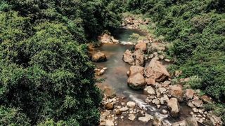 Joan Loluo - Clearwater (2020) Celebrity a topless scene from the movie