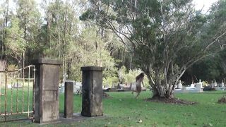 Naked Girl at the Cemetery. Busty talk about the eternal