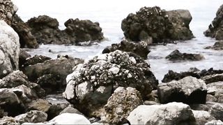 Perfect Boobs Outdoors Video