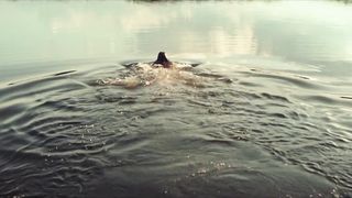 Petra Schmidt-Schaller - Die Toten von Marnow s01e01-04 (2021) celeb boobed scene