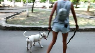 Spectacular jeans Cut-Offs Side jug and Nip glide during pitbull walk in the city